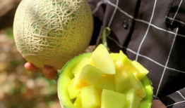 娱乐圈吃瓜有什么好处,揭秘娱乐八卦背后的乐趣与益处